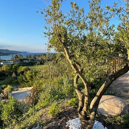 Neuve Avec Grande Piscine Chauffee Vue * Conca